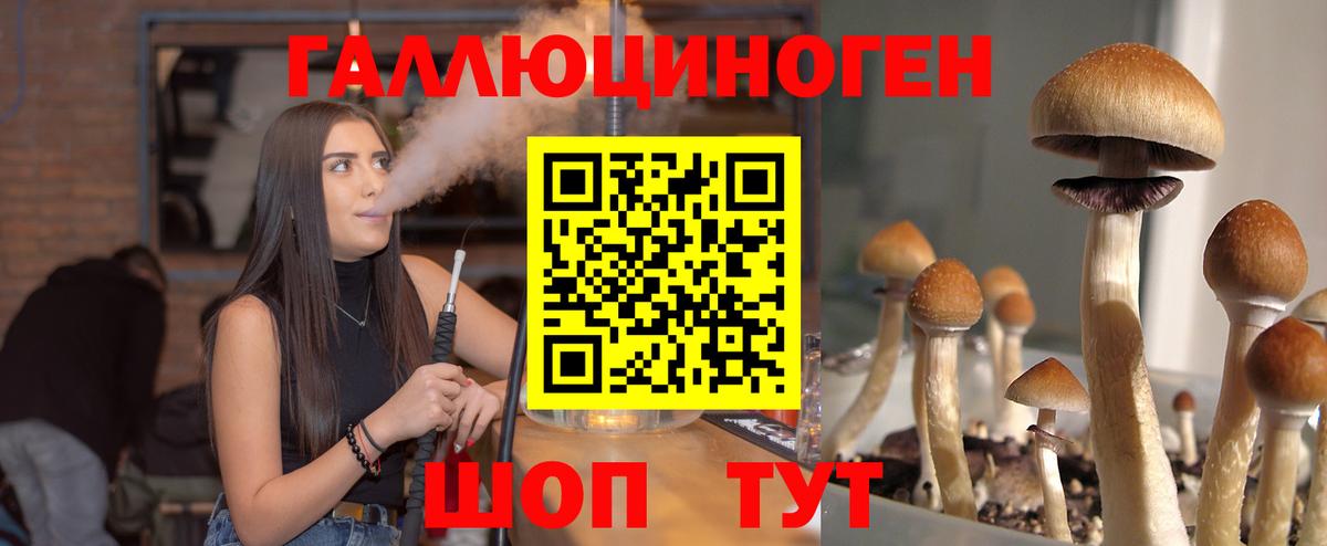 Псилоцибиновые грибы прущие грибы Спасск-Дальний