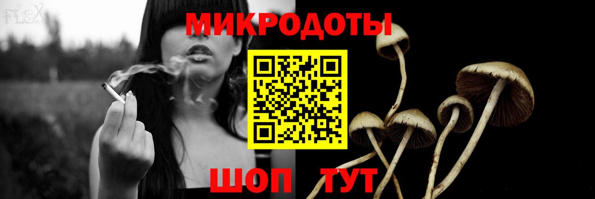 закладки  Вход с VPN  Спасск-Дальний  Псилоцибиновые грибы мухоморы 